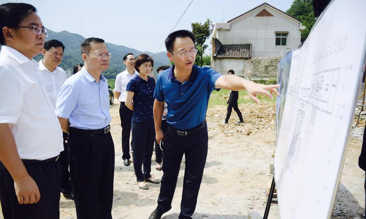 胡忠雄调研湘阴县美丽乡村金龙示范片建设