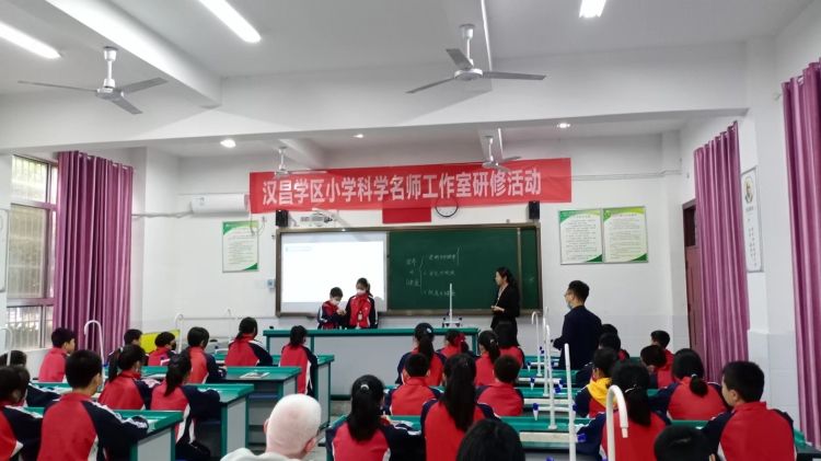 平江县汉昌学区举行小学科学研讨会