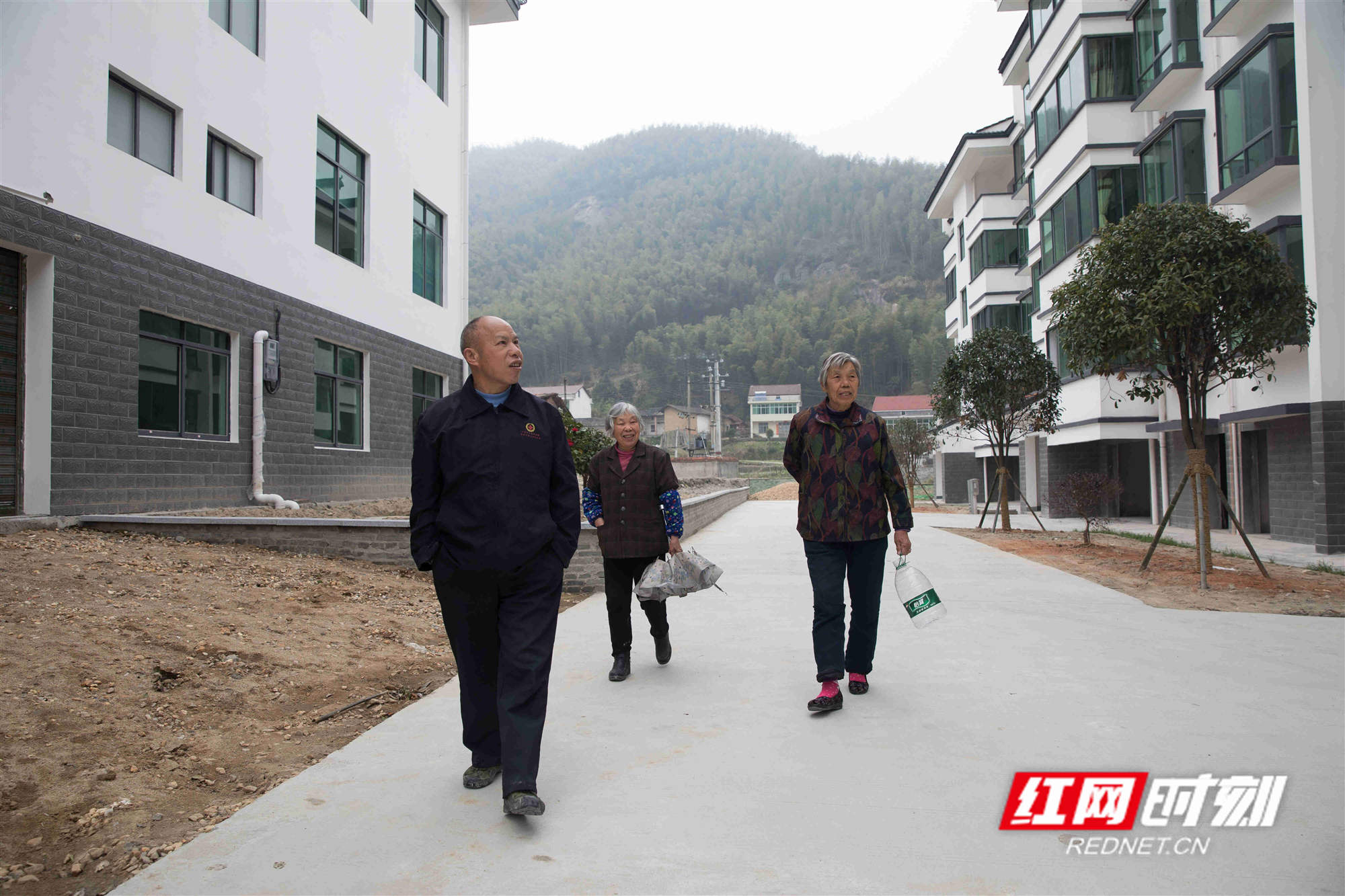 汨罗租房市场动态及趋势分析