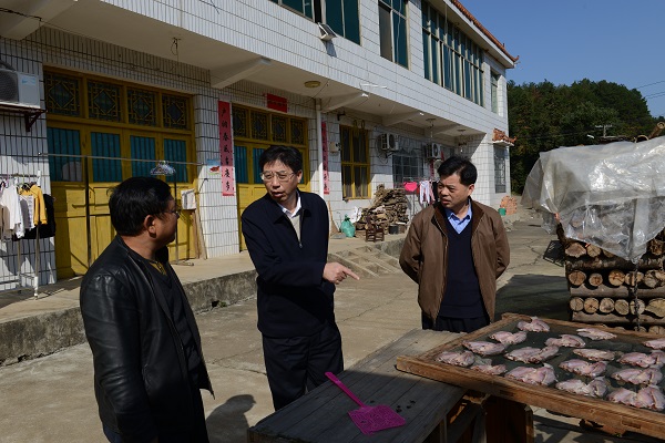 唐文发同志深入汨罗市三江镇八景村走访调研