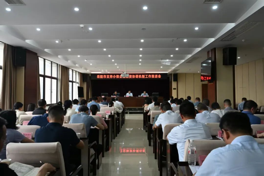 岳阳市支持小微企业融资协调工作机制推进会召开