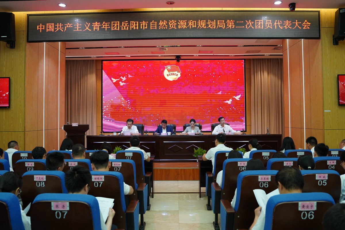 共青团岳阳市自然资源和规划局委员会召开第二次代表大会