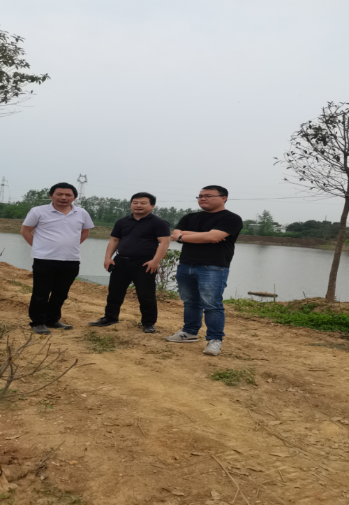 守护一江碧水，全力推进大垱湖水环境治理