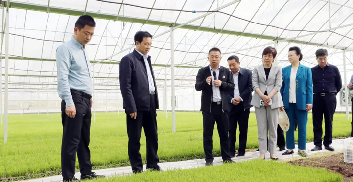 李挚赴君山区督导调研省旅发大会项目建设和春耕生产等工作