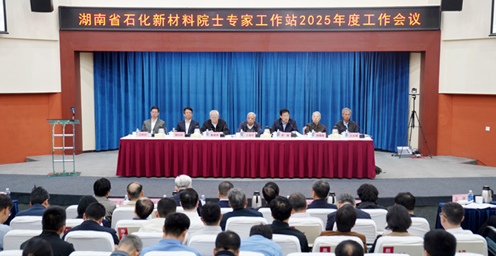 湖南省石化新材料院士专家工作站2025年度工作会议暨课题交流会活动在我市举行