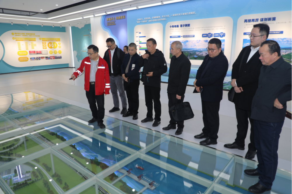 市口岸办联合多部门赴华鲁恒升(荆州)调研