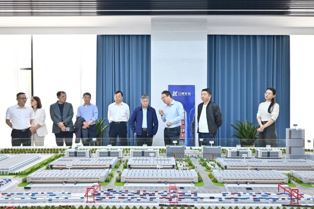 胡旭晟赴城陵矶新港多式联运物流园调研