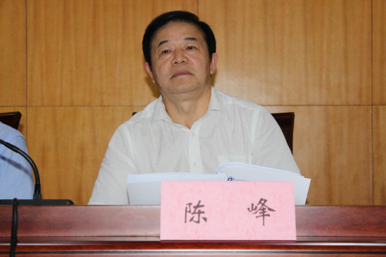 党组书记,局长陈峰作大会讲评总结发言