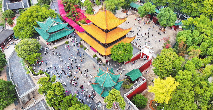  195.59���˴γ�������