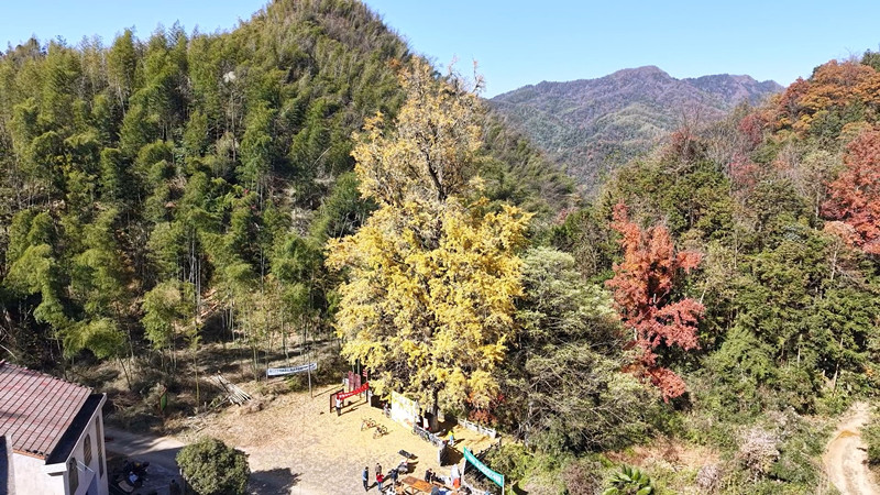 ����ɽǧ�����ӽ�����ѹ�����