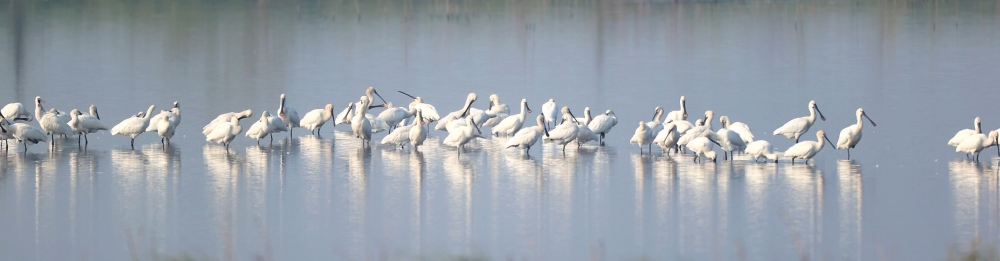 ������ܻ��������̬����