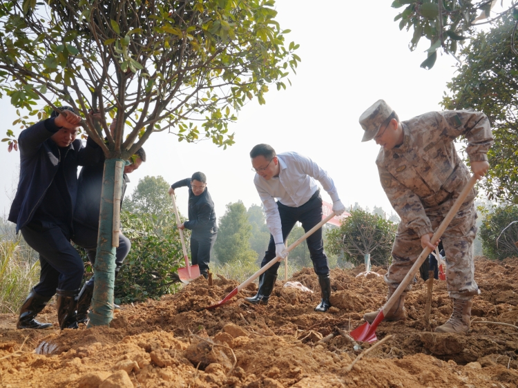 ����¥����չ2026������ֲ���