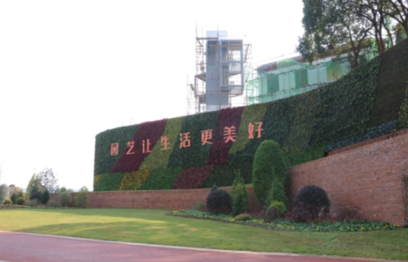 新——岳阳花语世界