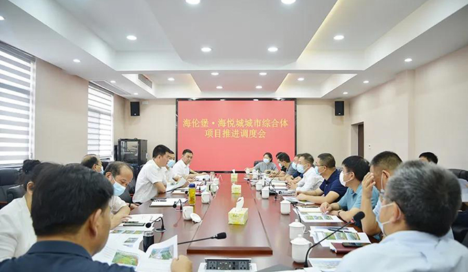 南湖新区召开海伦堡·海悦城城市综合体项目推进调度会