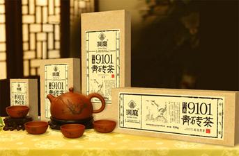 洞庭9101系列
