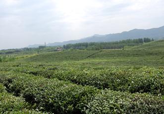 基地2