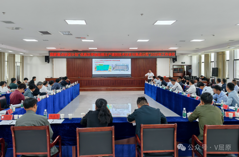 国家重点研发计划“优质双季超级稻丰产增效技术研发与集成示范”项目2025年工作会议在屈原管理区召开