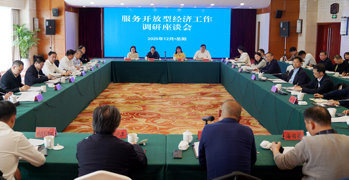 李挚主持召开服务开放型经济工作调研座谈会