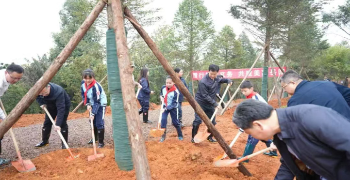 岳阳开展义务植树活动