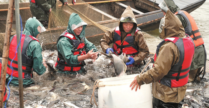 ������̬�����״�ֱ������г�