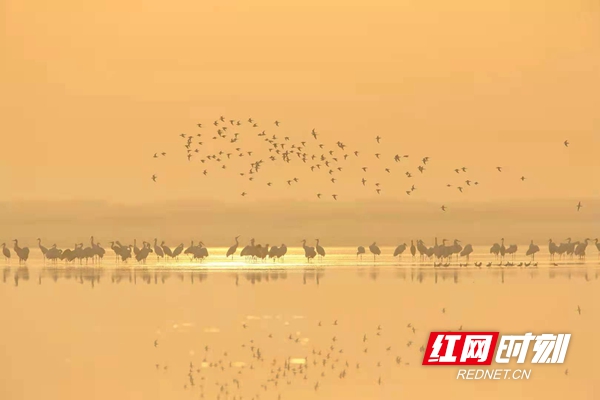 洞庭湖景观.jpg