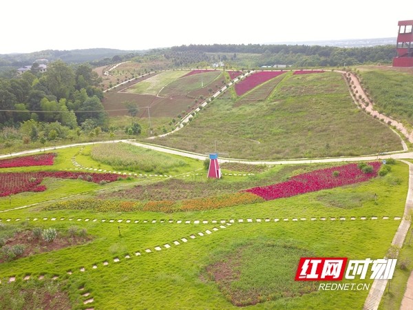 【汨罗市】汨罗西长村 偏远小山村引来几十个产业项目