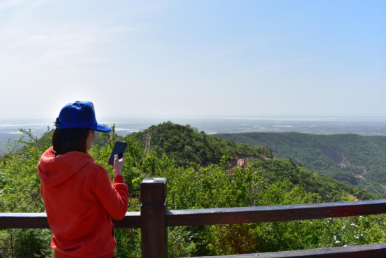 岳阳麻布山森林公园图片